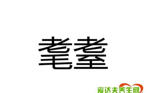 耄耋怎么读，&quot耄耋&quot怎么读？指多大年龄？图1