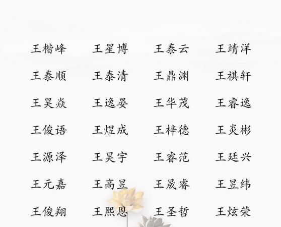 姓王的男孩取什么名字好，求姓王的男孩名字简单好记又大方的？图1