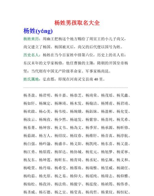 杨姓男孩取名有寓意的，杨姓男孩取名大气好听的名字有哪些？图2