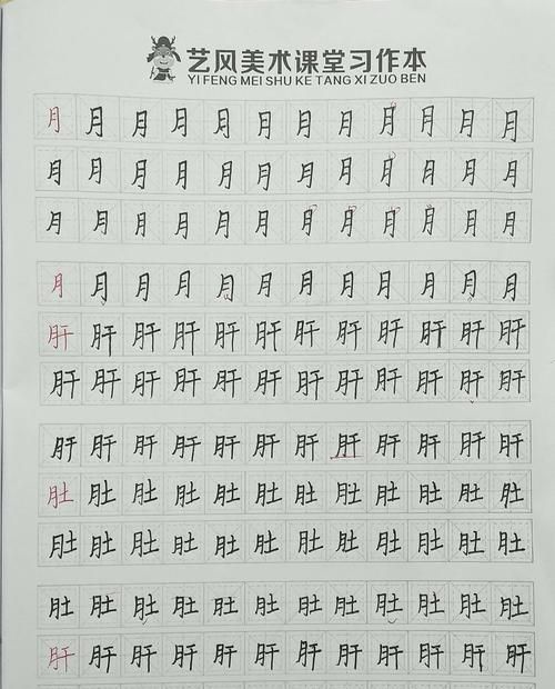 月字旁的字有哪些，带月字旁的字有哪些？图1