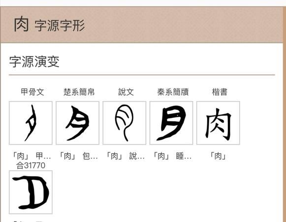 月字旁的字有哪些，带月字旁的字有哪些？图2