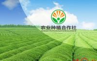 农业种植合作社起名，农业种植养殖加工合作社取名？图2