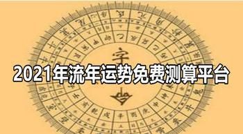 免费算命2020年运程，￼生辰八字：己巳年丁丑月丙戌日癸巳时。女命。请问2020年运势走向以及注意事项？