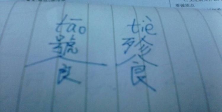 饕餮怎么读同音字,饕餮怎么读拼音,同音字图2