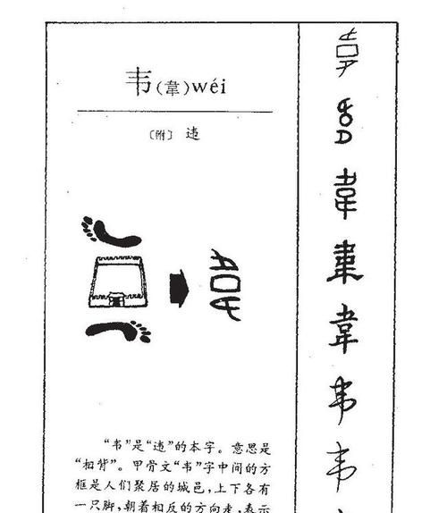 韦姓独一无二的女孩名字大全,姓韦的女孩取什么名字好听图4