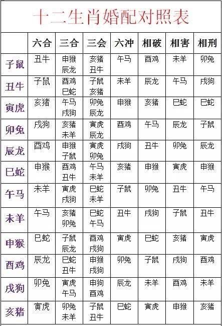 最佳婚配属相,属马的人最佳婚配属相是什么图5