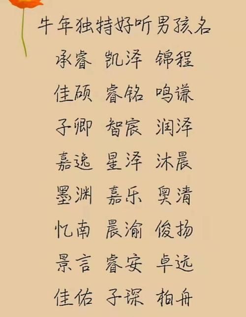 牛年男孩名字大全,牛年出生的男孩子取什么名字好图8