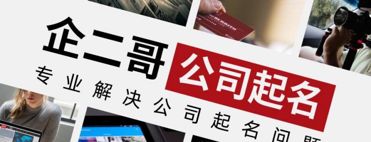 养殖合作社起名大全,养殖合作社取什么名字比较好图2