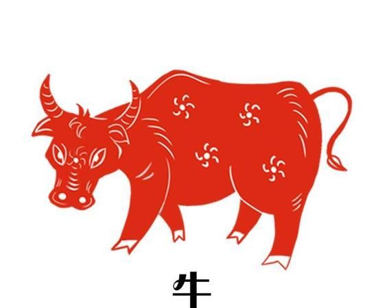 属牛的今年多大,属牛多少岁图3