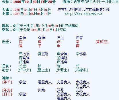 元亨利贞在线八字排盘,元亨利贞八字排盘网图3