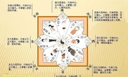 72年属鼠人财运方位
,72年鼠的十一月出生的命运图1