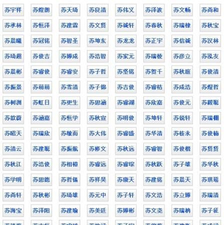 苏姓男孩取名字大全2021,苏姓男孩阳刚硬气点的名字图2