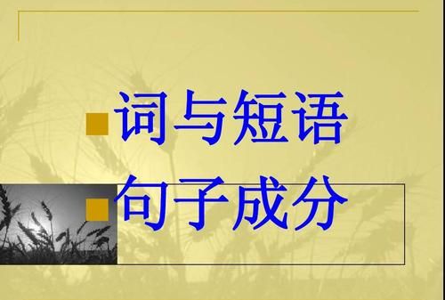 至死不懈什么短语类型,至死不懈是什么词性的词图3