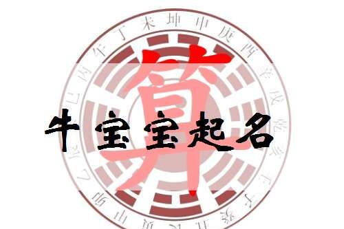 女孩牛宝宝名字,女牛宝宝取名字最佳字臧姓图4