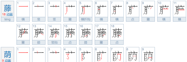 草字头的字有哪些,一年级草字头的字有哪些图2