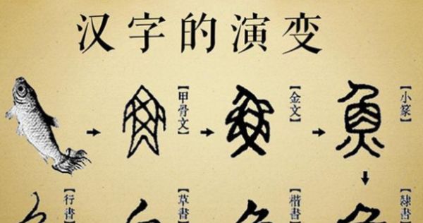 汉字的演变过程画图图片
