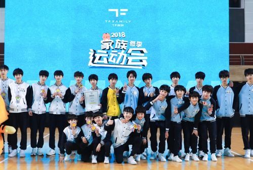 关于tf家族的网名,好听的tfboys粉丝网名图4