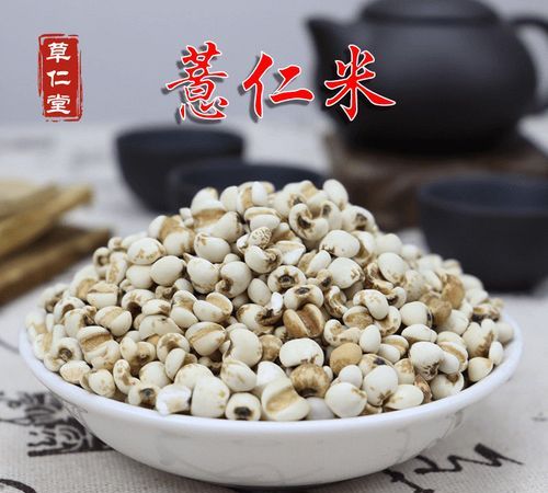 薏苡仁的功效与作用,薏苡仁的功效与作用及禁忌是什么用及禁忌图8