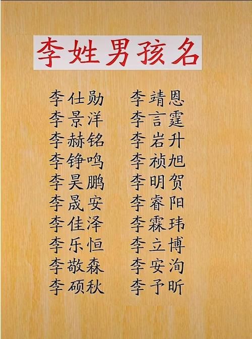 李姓取名字女孩大全,姓李的女孩起名字大全有诗意图3