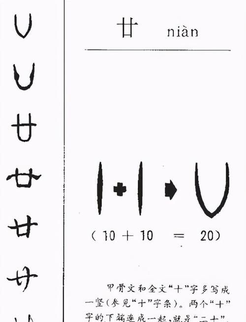 廿怎么读,耆耈怎么读是什么意思图1