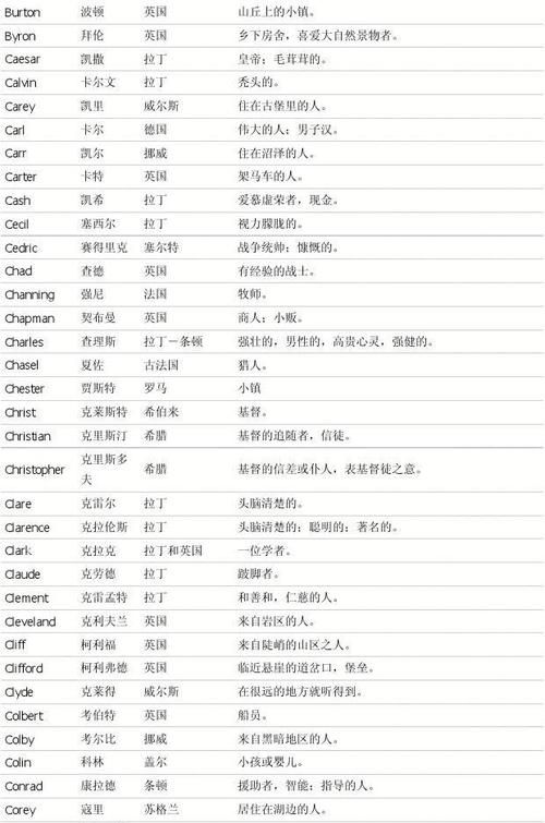 男性英文名大全及其意义,1000个好听的男生英文名大全简单图2