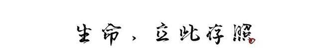 浅尝辄止的读音是什么意思,浅尝辄止的意思是什么图3