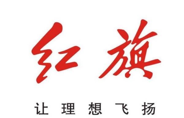 00个常见车标国产车,国产车不常见的车标图3