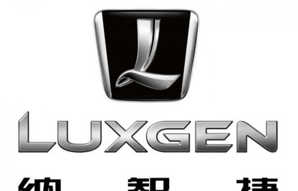 00个常见车标国产车,国产车不常见的车标图10