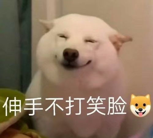 沙雕又霸气的狗名字,牧羊犬霸气名字图2