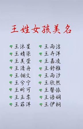 王姓女孩取什么名字好,姓王的女生取什么名字好听图4