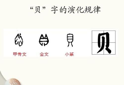 贝字旁的字有什么,带贝字旁的字都有哪些字图3