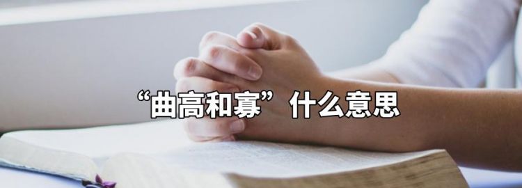 曲高和寡什么意思,曲高和寡啥意思啊图4