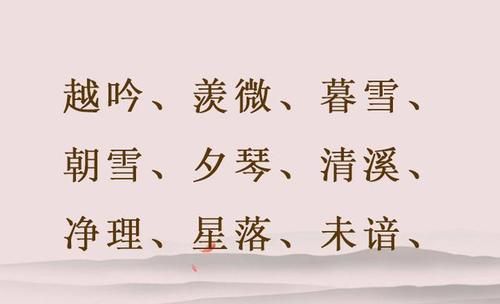 女孩姓名有诗意的名字,何姓女孩子名字文雅有寓意图2