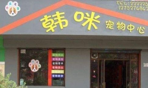 宠物用品店名字,宠物用品店叫什么名字比较好图4