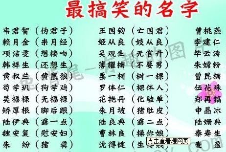 史上最搞笑的名字大全,姓名大全图4