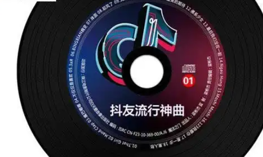 抖音最火歌曲排行榜2022在线听,抖音神曲2021最火歌单原唱图1