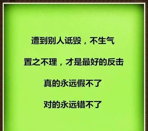 置之不理的置是什么意思,置之不理词语意思图4