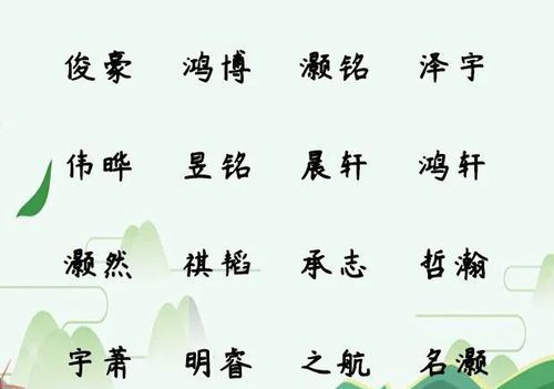 起名字202免费,宝宝起名字大全2021出生免费图3