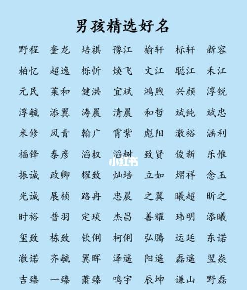 给男孩子取什么名字好,给男孩起个什么名字好图2