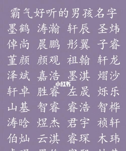 给男孩子取什么名字好,给男孩起个什么名字好图3