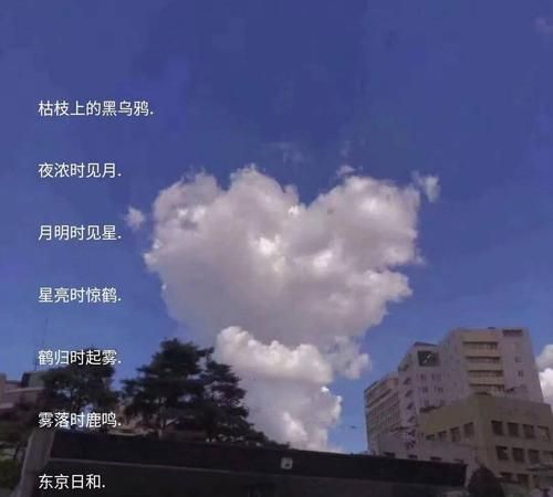 好听温柔到爆的战队名字,战队名字诗意唯美格式统一图6