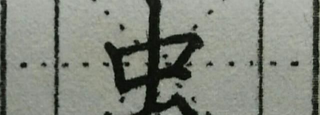 虫字旁的字都是昆虫,虫字旁的字大多与什么有关图1