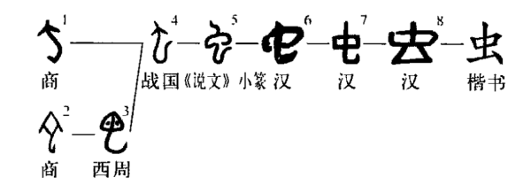 虫字旁的字都是昆虫,虫字旁的字大多与什么有关图2