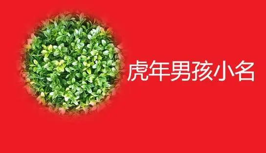 2022属虎男孩豪气的字,虎年男宝宝取名大全2022款图1