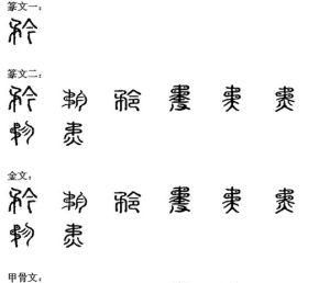 矜怎么读组词,矜多音字组词图2