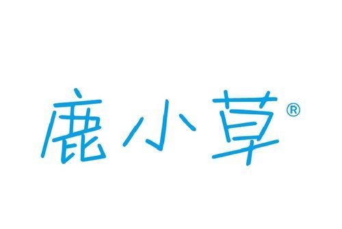 好听的服装未注册的商标名字,未注册过的好听的商标名有哪些?图3