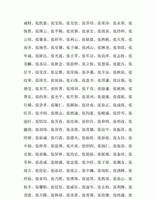 张姓取名字大全男孩名字,张姓简单大气男孩名字两个字图2