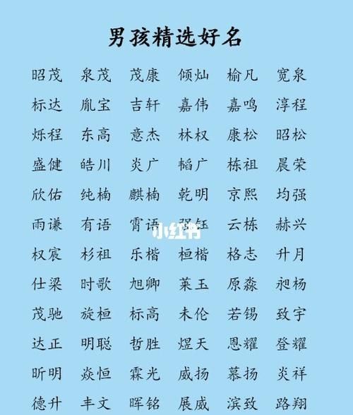 今年男孩子取什么名字好,好听的男孩名字大全男孩起名字大全图2