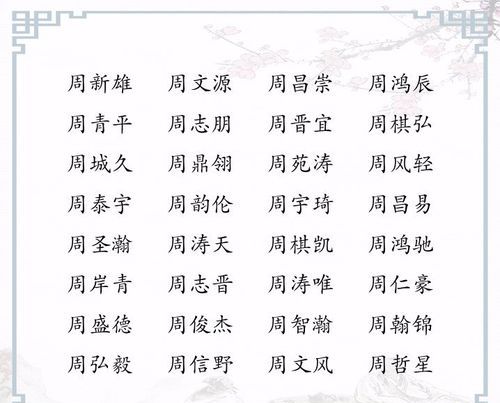 周姓好听稀少的男孩名字,周姓取名四个字名字大全图4