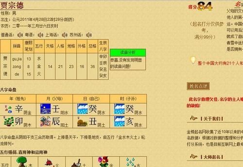 生辰八字名字打分查询,王政名字打分多少图4